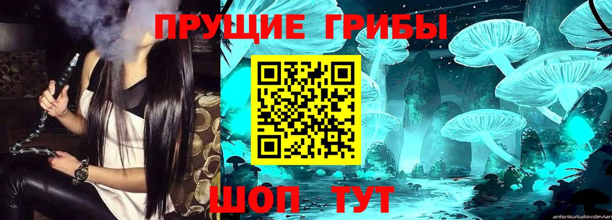 Галлюциногенные грибы Cubensis Рыбинск
